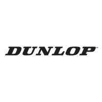 Моторезина Dunlop
